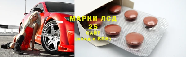 кокс Гусев