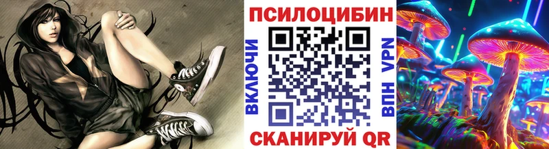Псилоцибиновые грибы Cubensis  Сорочинск 